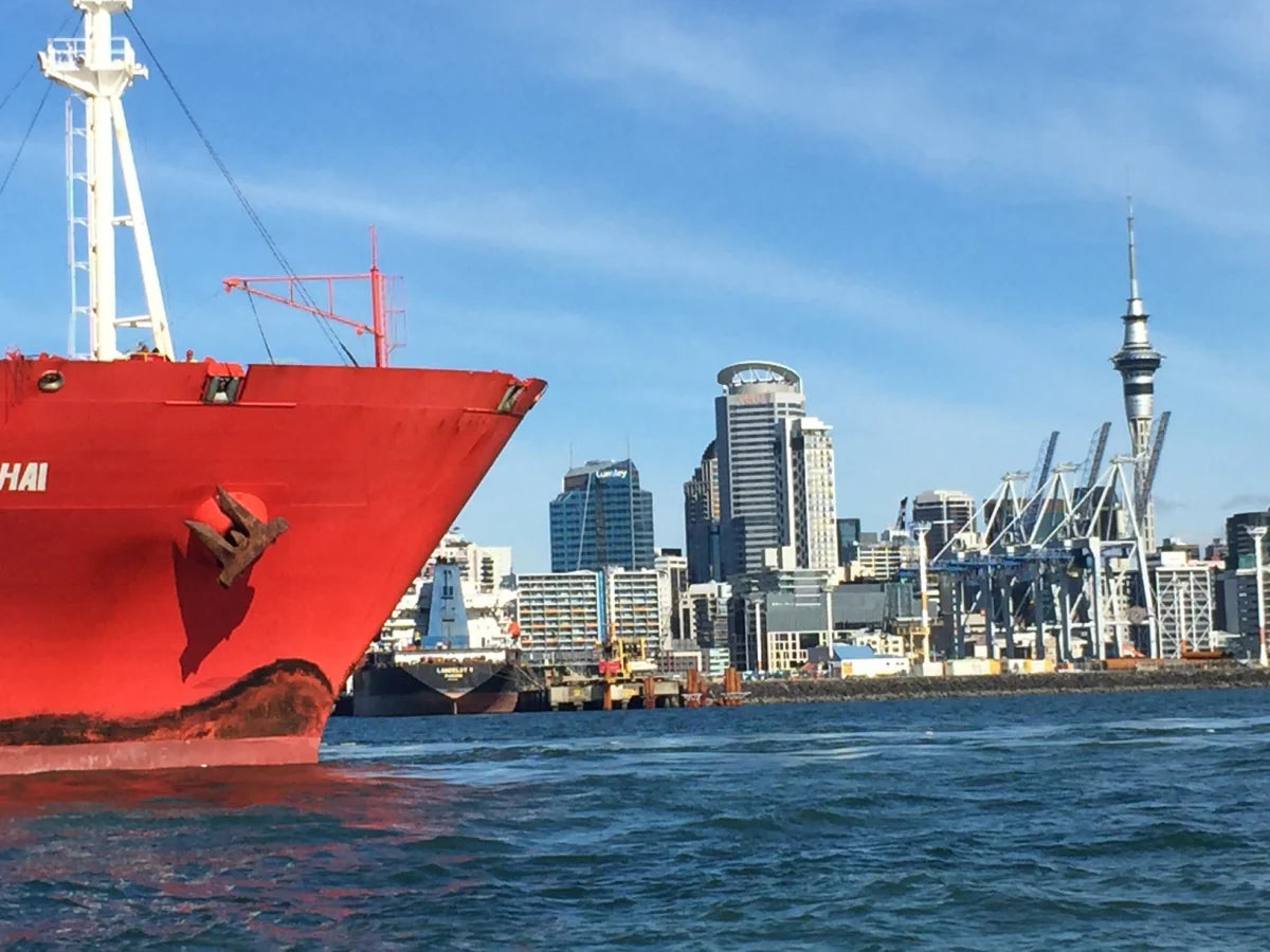 Commercial water taxi services Auckland