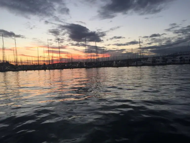 Auckland Water Taxi at sea