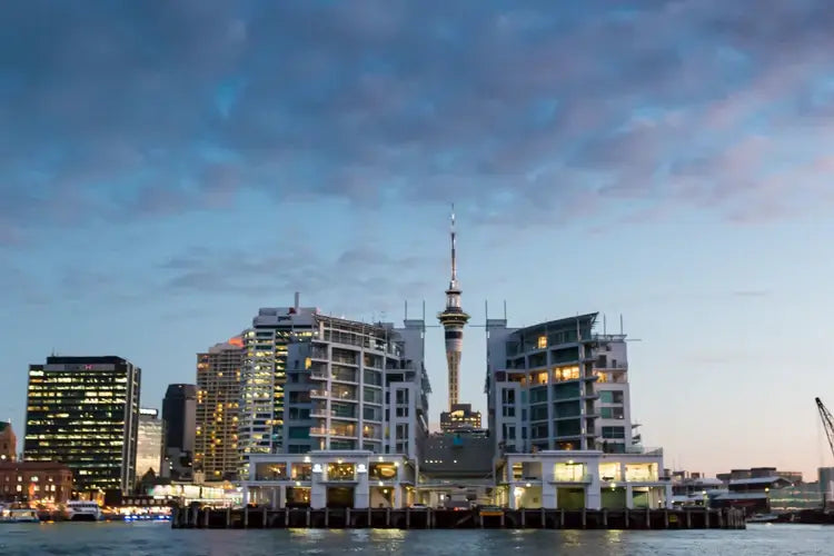 All of Auckland Water Taxis fleet