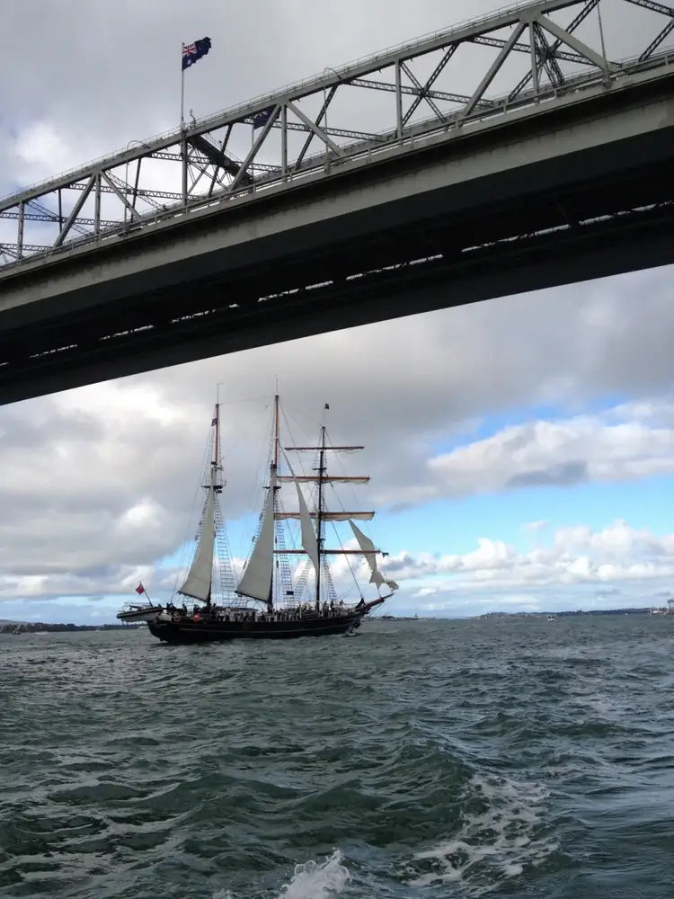 Auckland water taxi gulf views