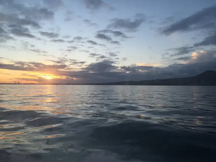 Water taxi to Waiheke Island