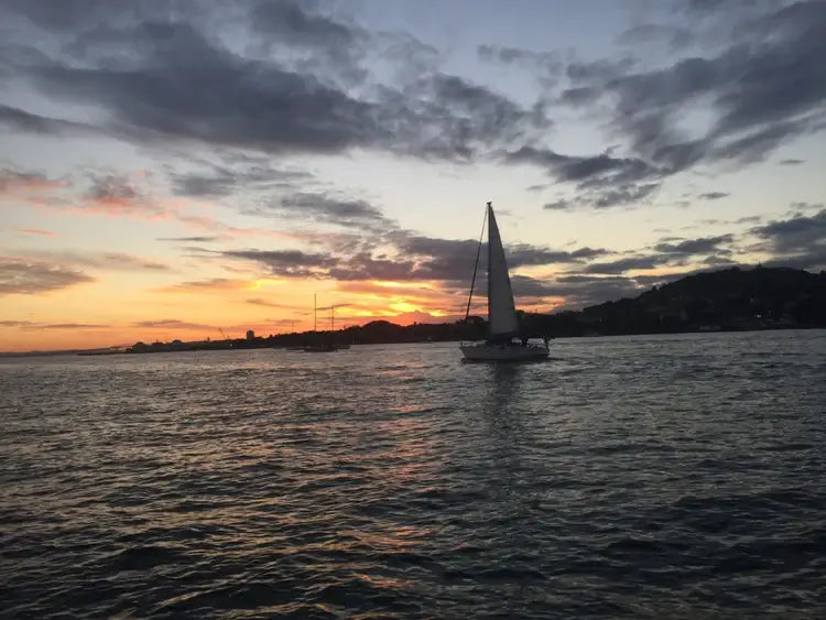 Auckland Water Taxis vessel