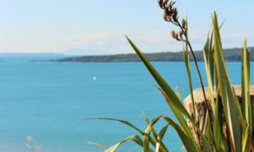 Tourism water taxi Auckland islands